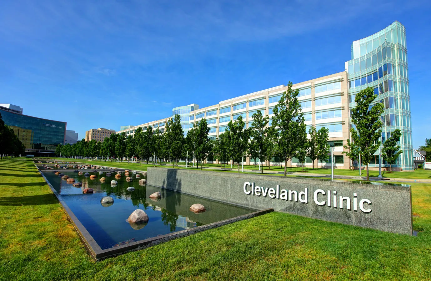 The Cleveland Clinic's View On LED Red Light Therapy – ECO FACE PLATINUM